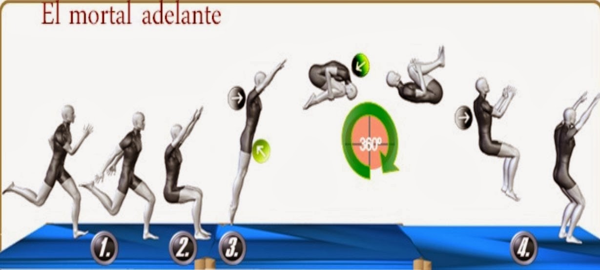 El aceite aceitunado primero otzhima para los cabellos